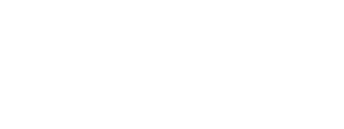British Medical Auction