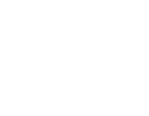 C & T Auctioneers
